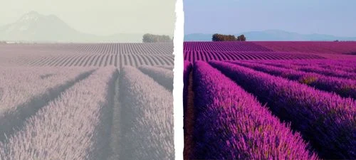 Ismerje meg a szürkehályog leggyakoribb tüneteit Ismerje meg a szürkehályog leggyakoribb tüneteit